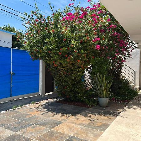 Casa Nuria Daire Playa del Carmen Dış mekan fotoğraf